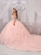 Strapless Corset Quinceanera Dress by LizLuo Fiesta 56521