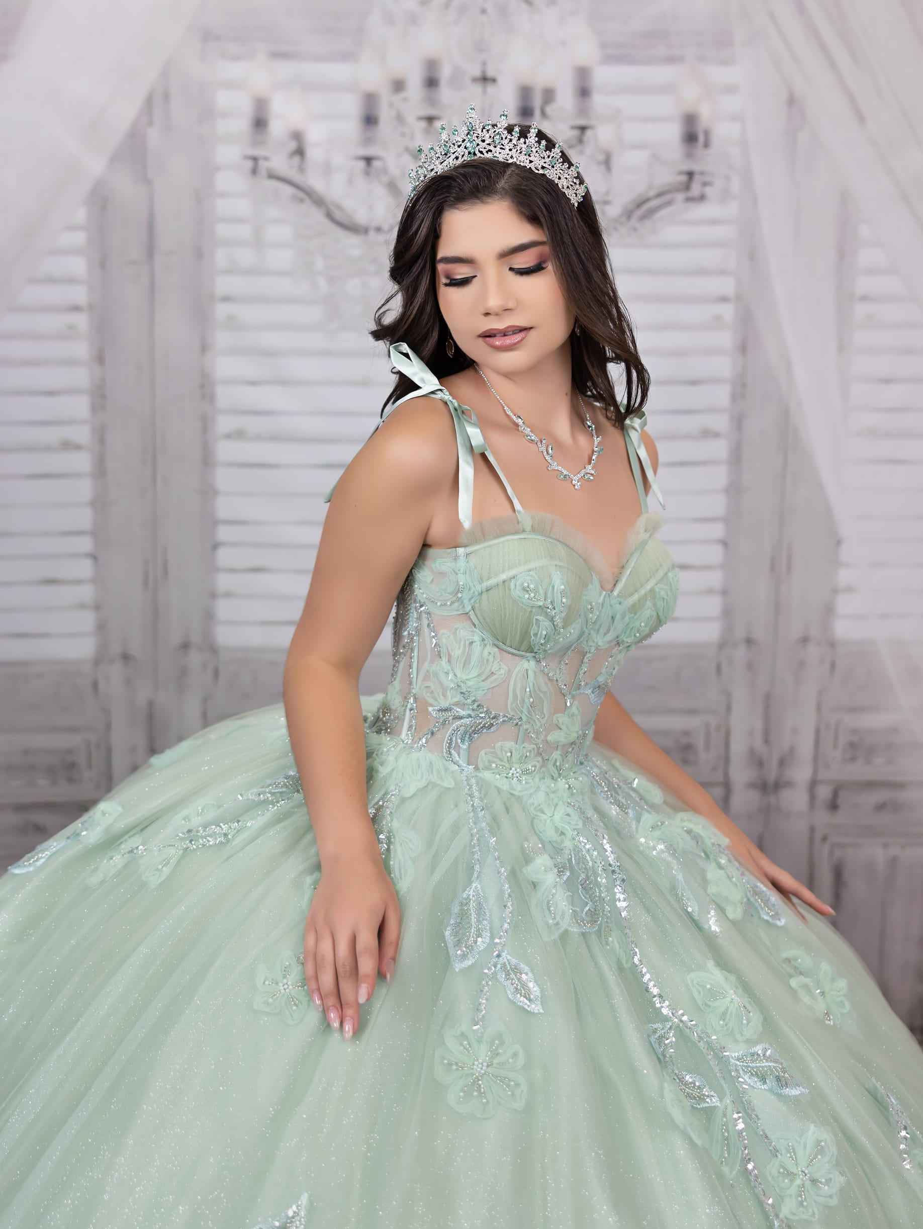 Strapless Corset Quinceanera Dress by LizLuo Fiesta 56521