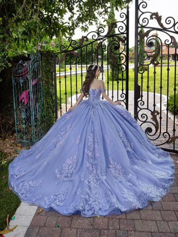 Schulterfreies Ballkleid mit 3D-Blumenmuster von LizLuo Fiesta 56529