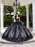 Lace Tulle Strapless Ball Gown by LizLuo Fiesta 56530