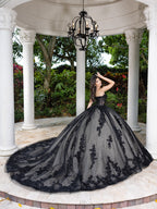 Lace Tulle Strapless Ball Gown by LizLuo Fiesta 56530
