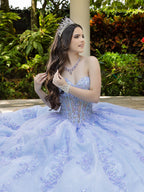 Lace Tulle Strapless Ball Gown by LizLuo Fiesta 56530