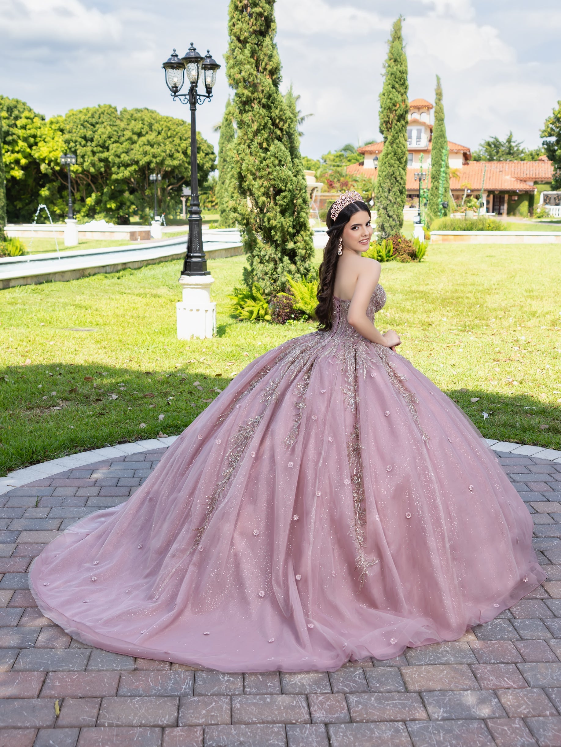 Applique Strapless Ball Gown by LizLuo Fiesta 56532