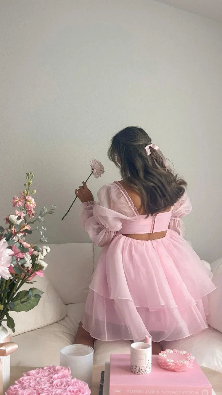 Vestido A-line Rosado Acinturado Vestido Rosado para Baile de Finalistas Y2428