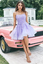 Un Abito da Ballo Lilla Carino con Paillettes e Appliques a Linea PD570