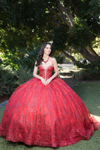 Strapless Sheer Corset Ball Gown by Petite Adele PQ1058