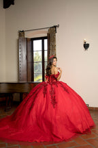 Applique Corset Ball Gown by Petite Adele PQ1070