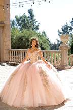 Beaded Off Shoulder Ball Gown by Petite Adele PQ1076