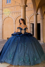 Off Shoulder Ruffled Ball Gown by Petite Adele PQ1079