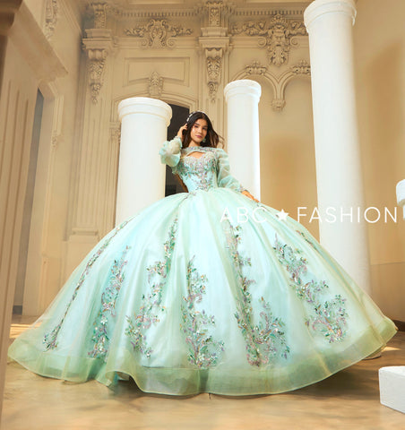 Langärmliges Quinceanera-Kleid von Ragazza EV59-659