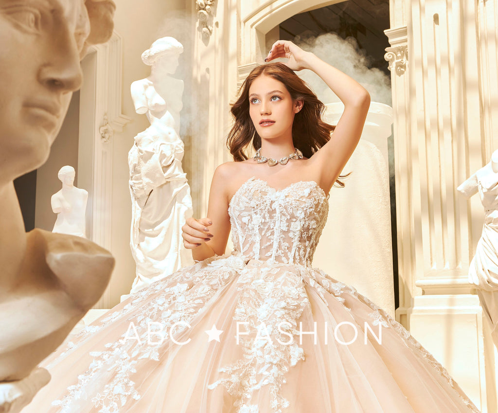 Long Sleeve Quinceanera Dress by Ragazza EV67-667