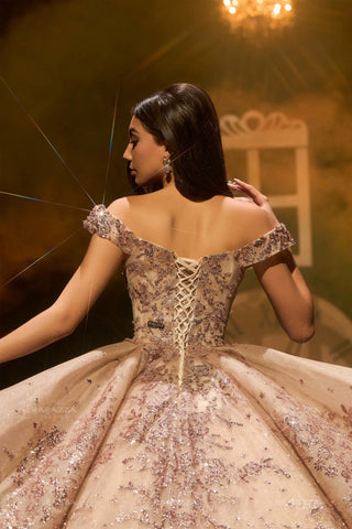 Minirock-Quinceanera-Kleid von Ragazza EV75-675