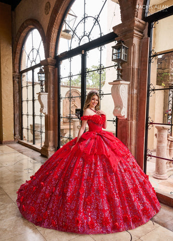 Vestido de quinceanera ombro a ombro, de Rachel Allan RQ1141