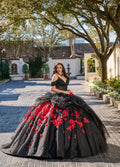Quinceanera-Kleid mit kalten Schultern von Rachel Allan RQ1144