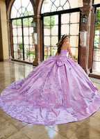 Vestido de quinceanera com estampado floral 3D e coração de Rachel Allan RQ1157