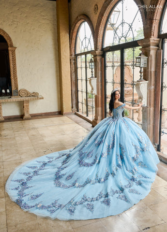 Vestido de quinceanera ombro a ombro, de Rachel Allan RQ2205