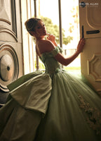 Vestido de quinceanera ombro a ombro, de Rachel Allan RQ2210