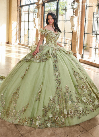 Vestido de quinceanera ombro a ombro, de Rachel Allan RQ3137