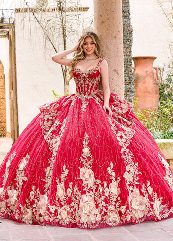 Vestido de festa de quinze anos sem mangas, de Rachel Allan RQ3140