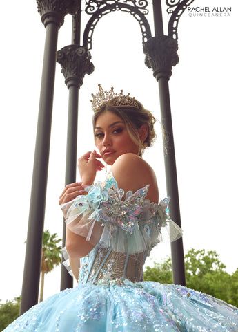 3D-Schmetterlings-Quinceanera-Kleid von Rachel Allan RQ3149