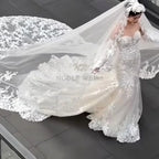 Long Wedding Veil Lace Appliques Cathedral Veil One-Layer Wedding Veils With Comb Customized