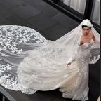 Long Wedding Veil Lace Appliques Cathedral Veil One-Layer Wedding Veils With Comb Customized