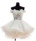 Teresia | Vestido de fiesta de línea A, de encaje y organza, con aplicaciones y tirantes caídos