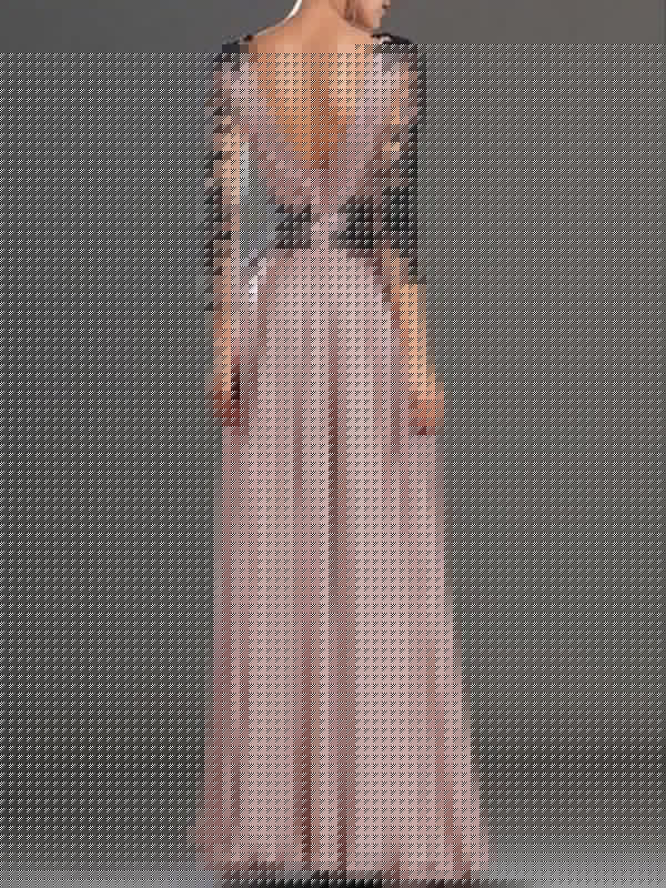 Vestidos de festa compridos com decote em V, mangas compridas, corte A e aplicações em chiffon