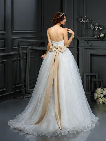 A-Linie/Princess-Linie Herzausschnitt Applikationen Ärmellos Lange Organza Brautkleider