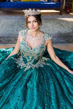 Applique Glitter Ball Gown by Cinderella Couture 8024J