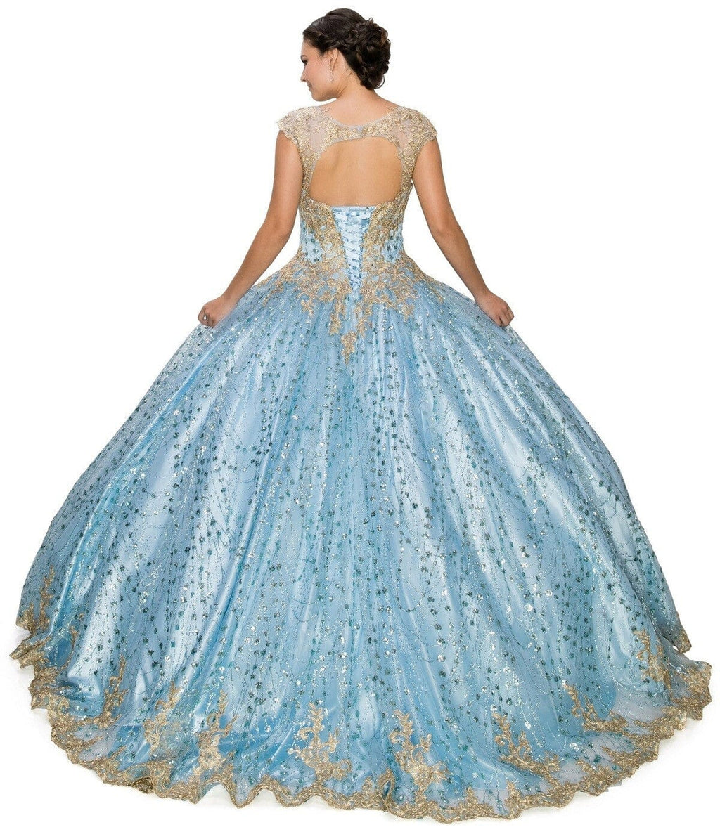 Applique Glitter Ball Gown by Cinderella Couture 8024J