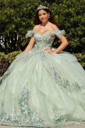 Applique Spalla Scoperta Abito da Ballo a Pallone di Cinderella Couture 8089J