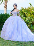 Schulterfreies Quinceanera-Kleid mit Applikation von Fiesta Gowns 56493