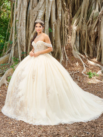 Schulterfreies Quinceanera-Kleid mit Applikation von Fiesta Gowns 56493