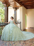Schulterfreies Quinceanera-Kleid mit Applikation von House of Wu 26080