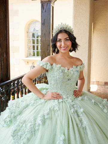 Schulterfreies Quinceanera-Kleid mit Applikation von House of Wu 26080