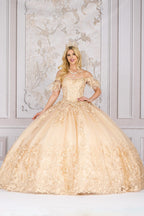 Butterfly Applique Off Shoulder Ball Gown by Petite Adele PQ1021