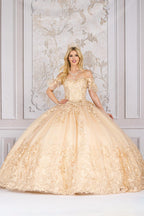 Butterfly Applique Off Shoulder Ball Gown by Petite Adele PQ1021