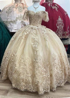 Butterfly Applique Off Shoulder Ball Gown by Petite Adele PQ1021