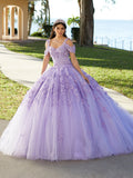 Abito da Quinceañera Spalla Fredda Farfalla di Fiesta Gowns 56482
