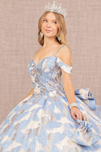 Butterfly Print Ruffled Ball Gown by Elizabeth K GL3174