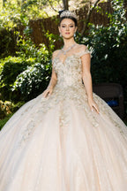 Butterfly Sweetheart Ball Gown by Cinderella Couture 8046J