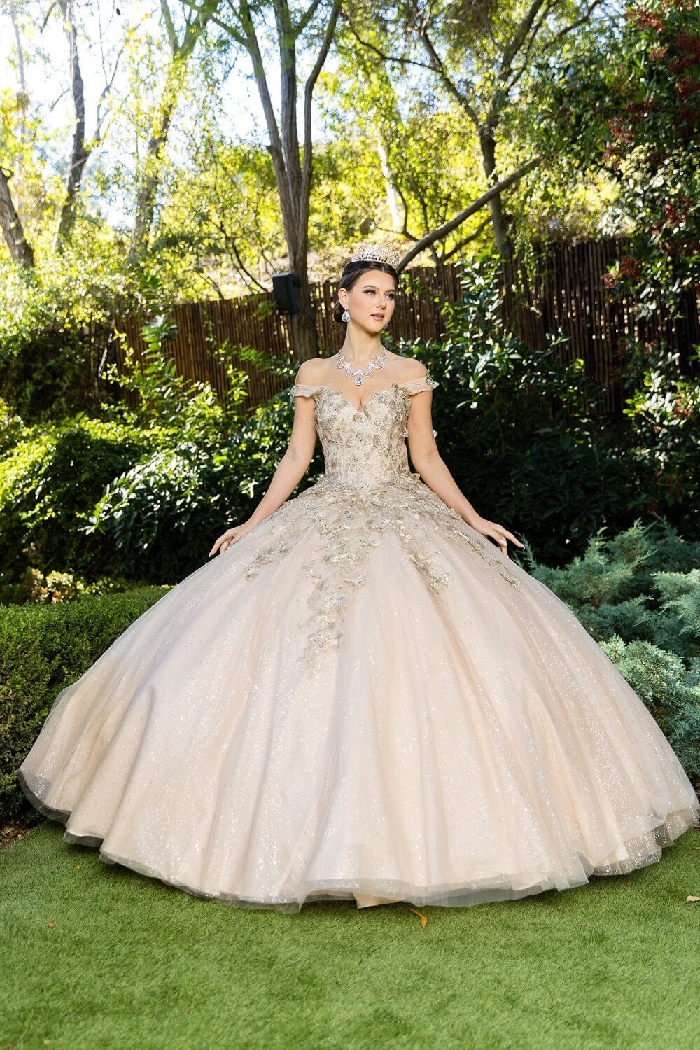 Butterfly Sweetheart Ball Gown by Cinderella Couture 8046J
