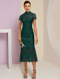 Etuikleid/Säulenkleid für die Brautmutter, Hochzeitsgast, elegant, hoher Halsausschnitt, bodenlang, Spitze, kurze Ärmel mit Applikationen