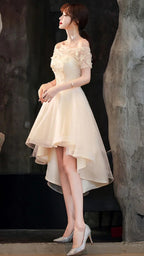Champagner Tüll High-Low-Abschlussballkleid Champagner Abendkleid Y983