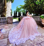 Elegantes langes Ballkleid, schulterfrei, Applikationen, Spitze, Tüll, Quinceanera-Kleid