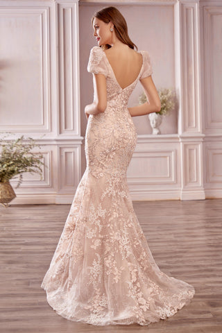 Elegant Long Mermaid Sweetheart Backless Lace Prom Dress with Sleeves