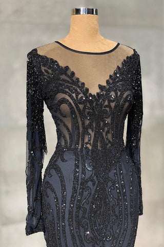 Elegant Long Mermaid Tulle Lace Prom Dress with Sleeves