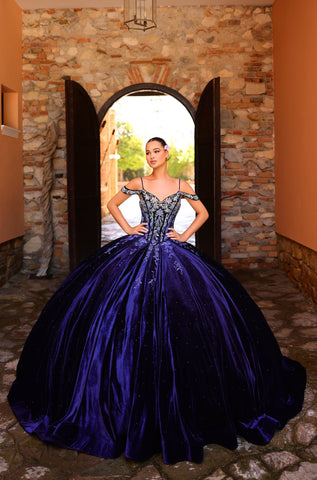Besticktes Quinceanera-Kleid mit kalten Schultern von Amarra 54316