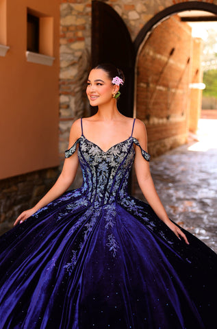 Besticktes Quinceanera-Kleid mit kalten Schultern von Amarra 54316